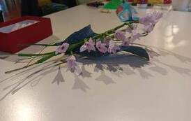 331371751_581006387229222_7659687481794945361_n