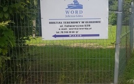 234992416_4435990896440409_4198258509523052891_n